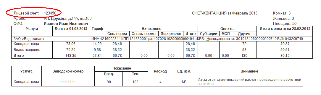 Лицевой счет несовершеннолетнего. Лицевой счет физического лица пример. Лицевой счет организации как выглядит. Реквизиты финансового лицевого счета. Как составить лицевой счет клиента.